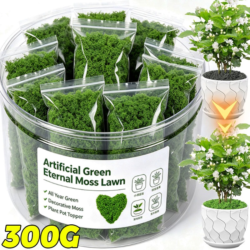 Terrarium Moss Art - Tanaman Hijau Buatan Lumut Abadi Kerajinan