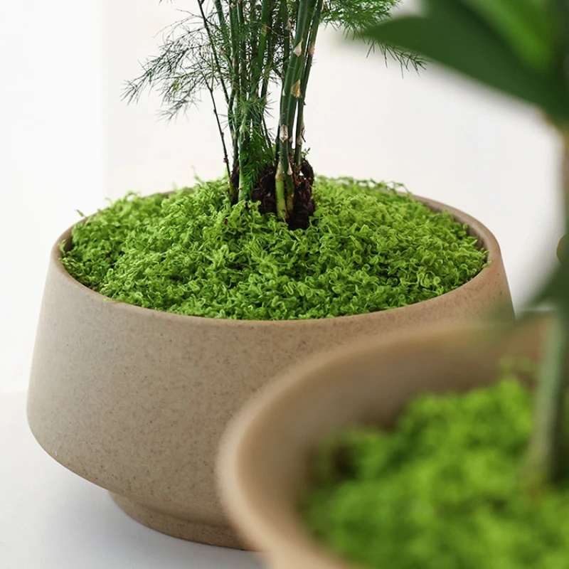 1Pc Rumput Buatan Tiruan, Alas - Terrarium Moss Art ulasan dan harga