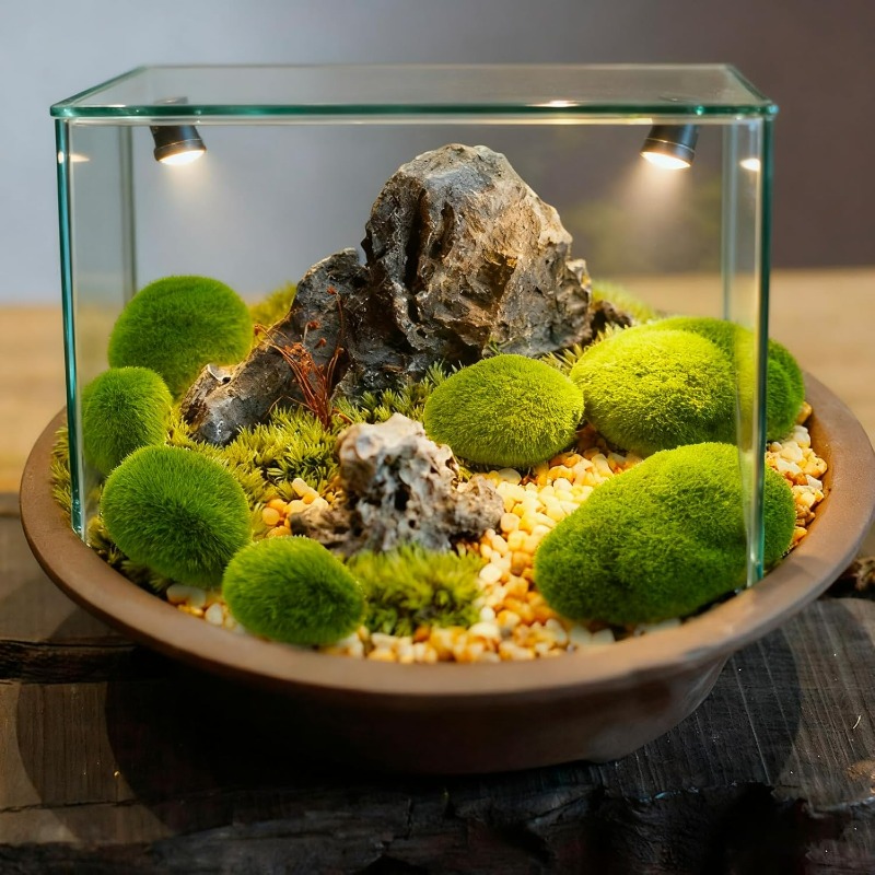 50/5 Buah Batu Lumut Busa Buat - Terrarium Moss Art ulasan dan harga