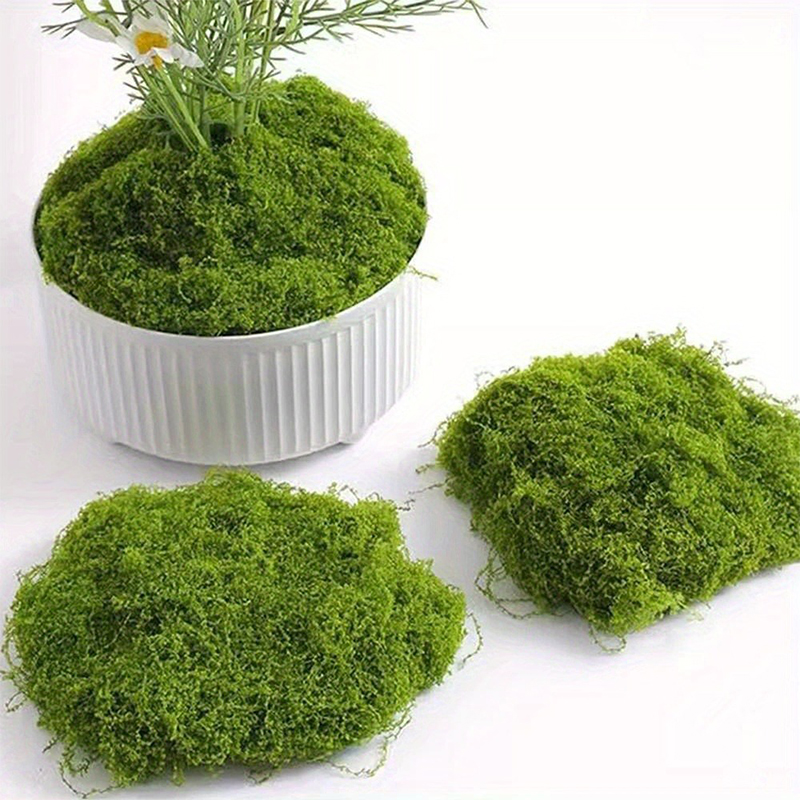 Lumut palsu hijau DIY kerajina - Terrarium Moss Art ulasan dan harga