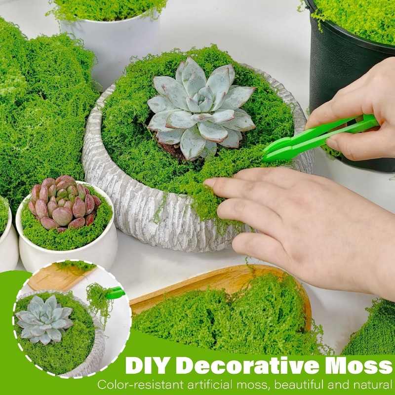 Tanaman Hijau Buatan Lumut Aba - Terrarium Moss Art ulasan dan harga