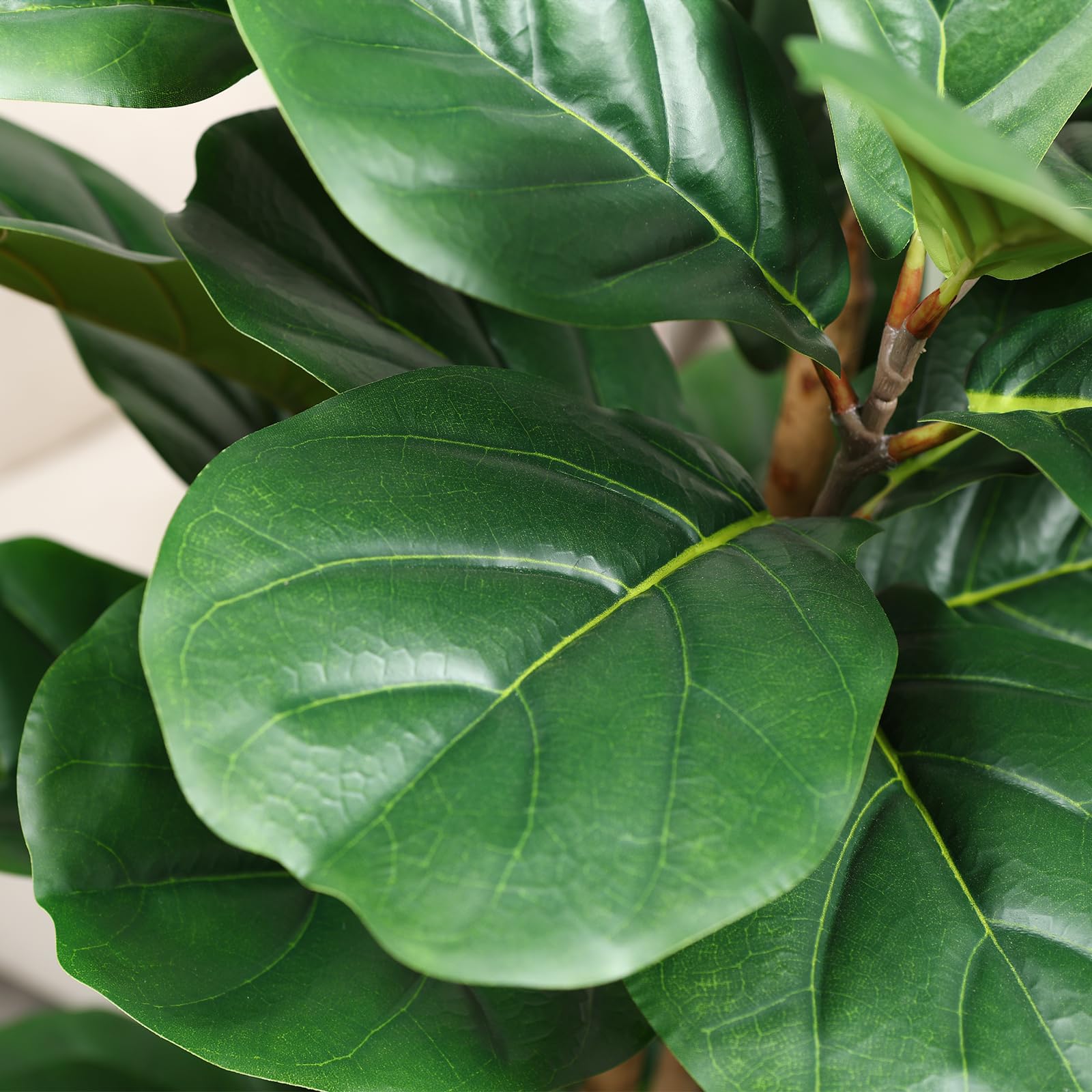 Pohon Ficus Artifisial dengan  - Terrarium Moss Art ulasan dan harga