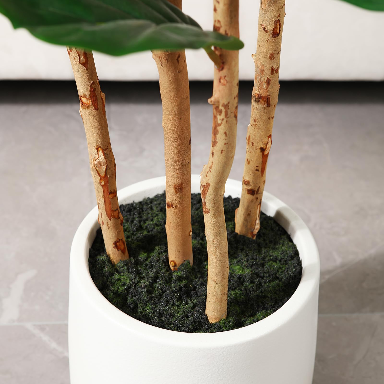 Pohon Ficus Artifisial dengan  - Terrarium Moss Art ulasan dan harga